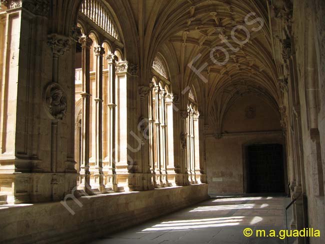 SALAMANCA - Convento e Iglesia de San Esteban 029