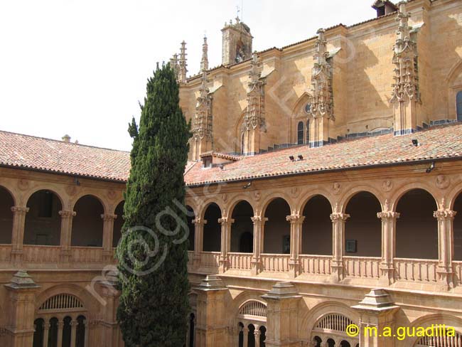 SALAMANCA - Convento e Iglesia de San Esteban 069