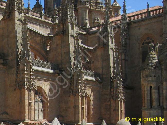 SALAMANCA - Catedral - subida torres 010