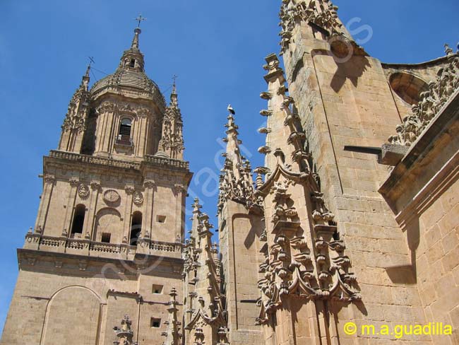 SALAMANCA - Catedral - subida torres 018