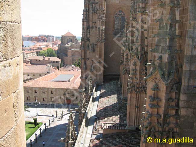 SALAMANCA - Catedral - subida torres 029 