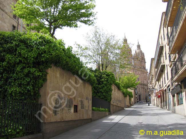 SALAMANCA - Calle Palominos 002