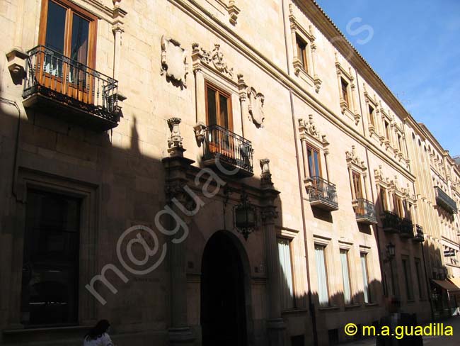 SALAMANCA - Palacio de Figueroa 001