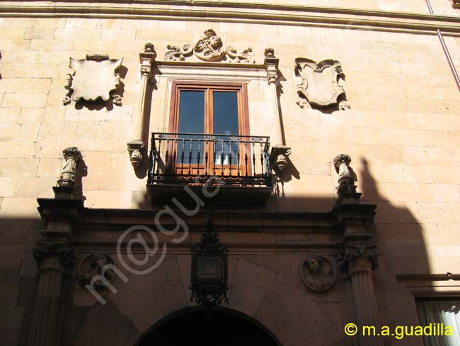 SALAMANCA - Palacio de Figueroa 002