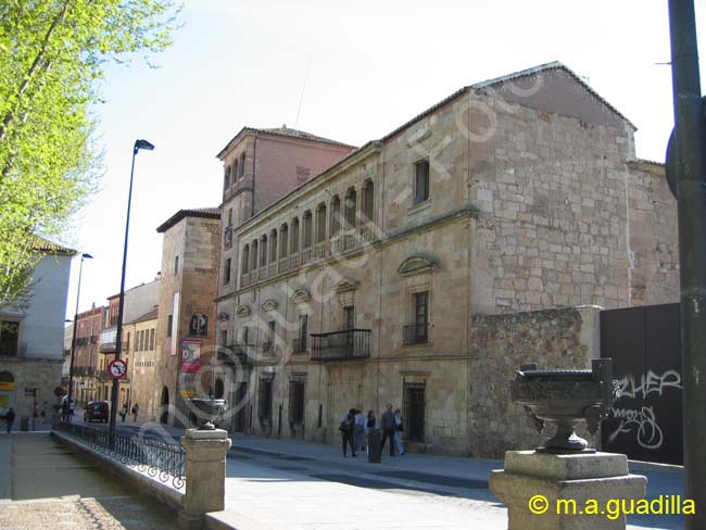 SALAMANCA - Palacio de Orellana 001