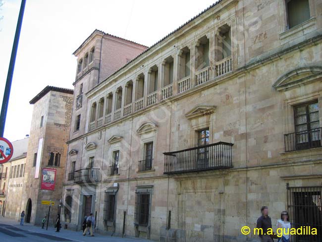 SALAMANCA - Palacio de Orellana 002