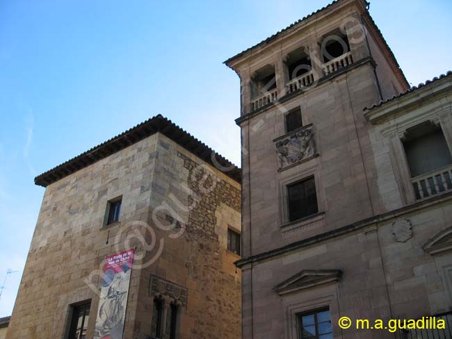 SALAMANCA - Palacio de Orellana 003