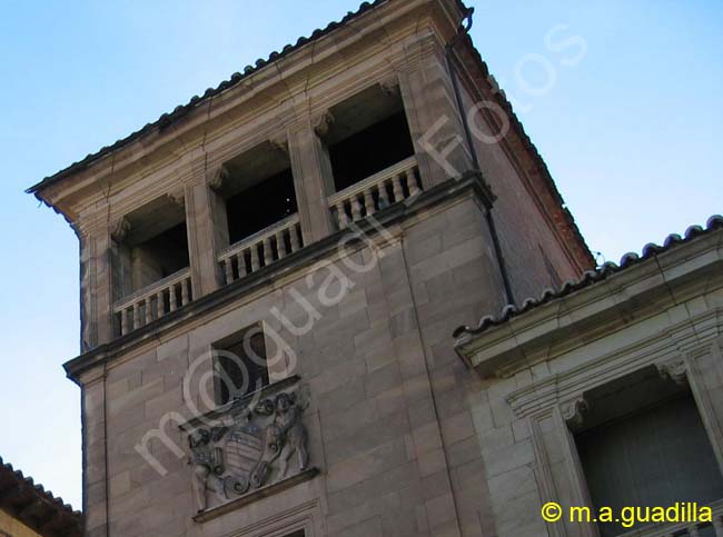 SALAMANCA - Palacio de Orellana 004