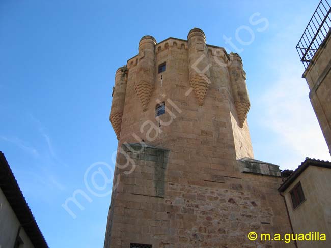 SALAMANCA - Torre del Clavero 003