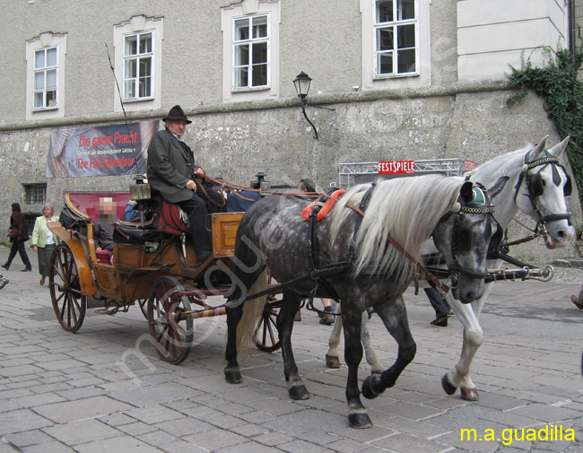 SALZBURGO 013