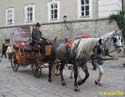 SALZBURGO 013