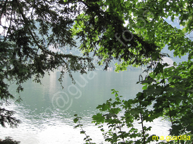 TRAUNKIRCHEN - Lago Traunsee 016