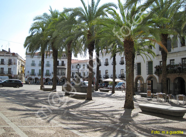 ZAFRA (116) PLAZA GRANDE