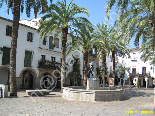 ZAFRA (121) PLAZA GRANDE