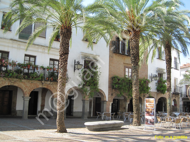 ZAFRA (124) PLAZA GRANDE