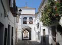 ZAFRA (167) ARCO DE JEREZ