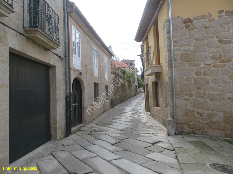 ALLARIZ (113)