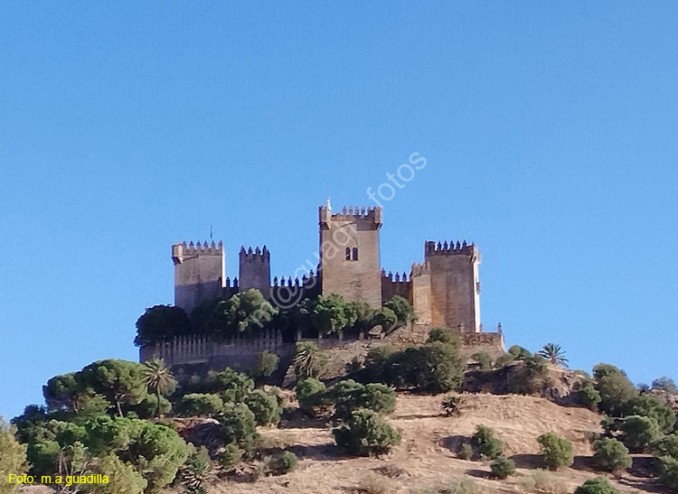 ALMODOVAR DEL RIO (101) Castillo