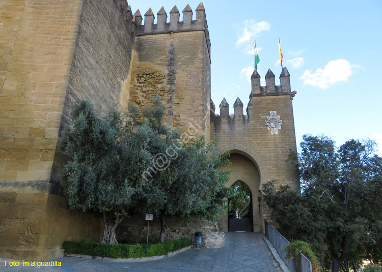 ALMODOVAR DEL RIO (102) Castillo
