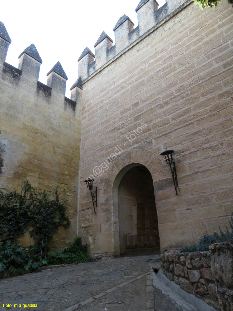 ALMODOVAR DEL RIO (104) Castillo