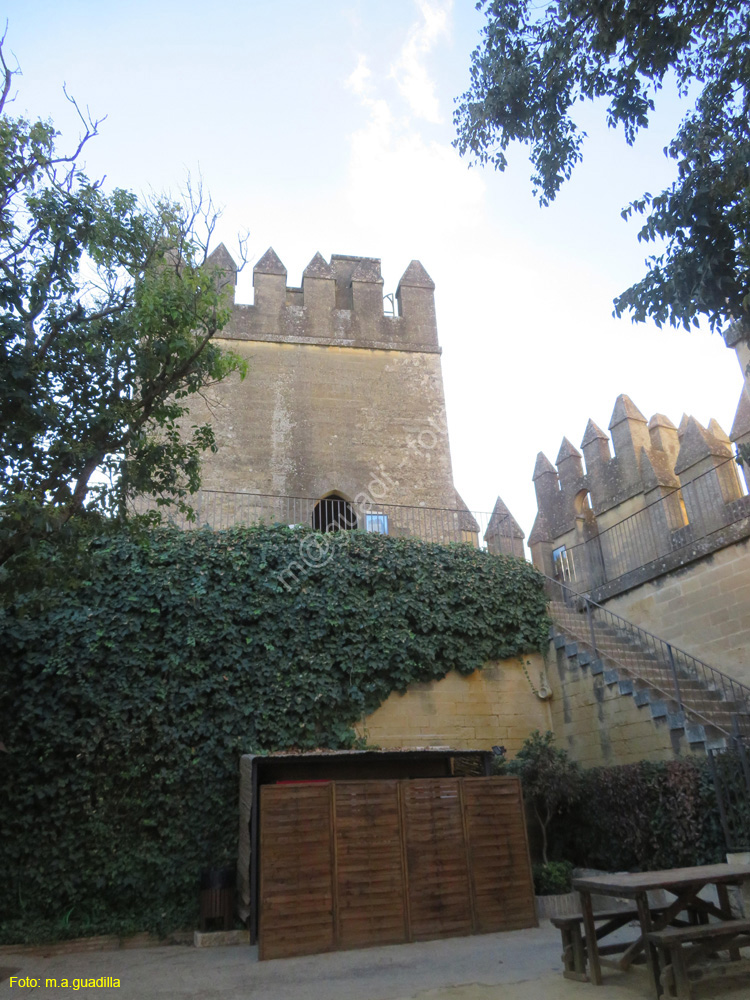 ALMODOVAR DEL RIO (122) Castillo