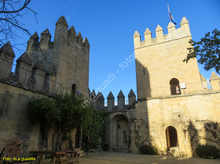 ALMODOVAR DEL RIO (123) Castillo
