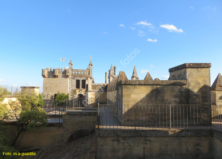 ALMODOVAR DEL RIO (126) Castillo