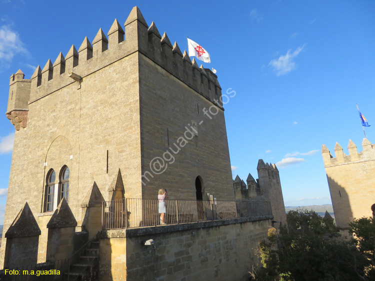 ALMODOVAR DEL RIO (127) Castillo