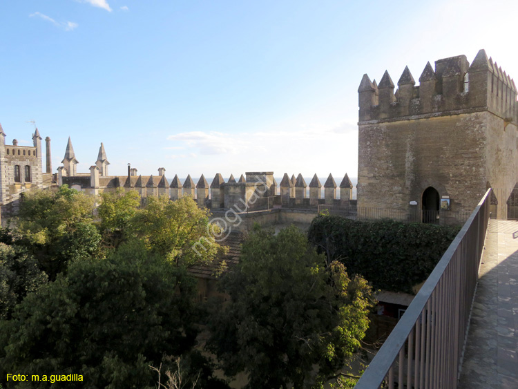 ALMODOVAR DEL RIO (131) Castillo
