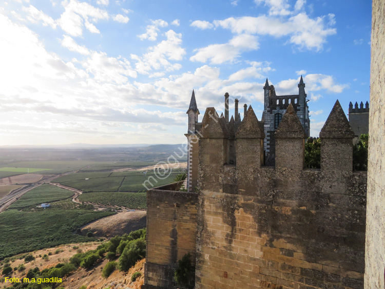 ALMODOVAR DEL RIO (139) Castillo