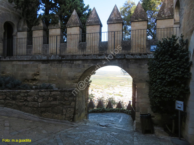 ALMODOVAR DEL RIO (140) Castillo