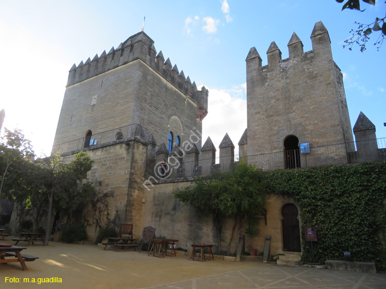 ALMODOVAR DEL RIO (142) Castillo