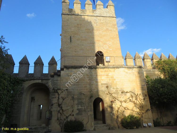 ALMODOVAR DEL RIO (144) Castillo