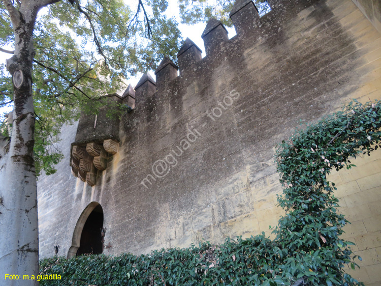 ALMODOVAR DEL RIO (145) Castillo
