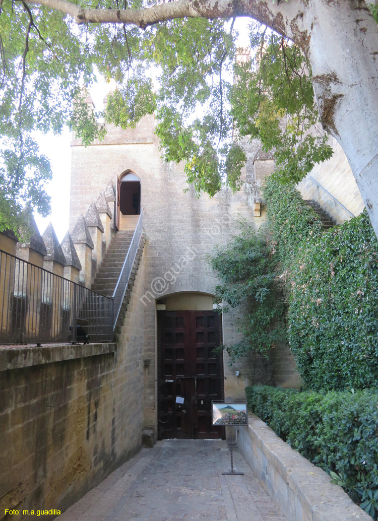 ALMODOVAR DEL RIO (146) Castillo