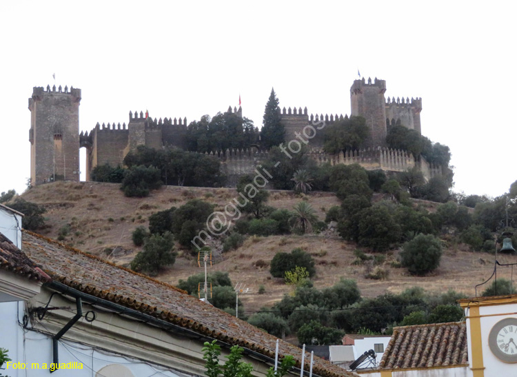 ALMODOVAR DEL RIO (164) Castillo
