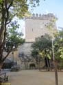 ALMODOVAR DEL RIO (120) Castillo
