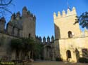 ALMODOVAR DEL RIO (123) Castillo