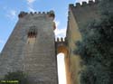 ALMODOVAR DEL RIO (148) Castillo