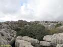ANTEQUERA (218) El Torcal