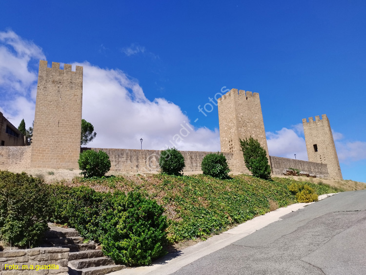 ARTAJONA (114) Cerco Medieval