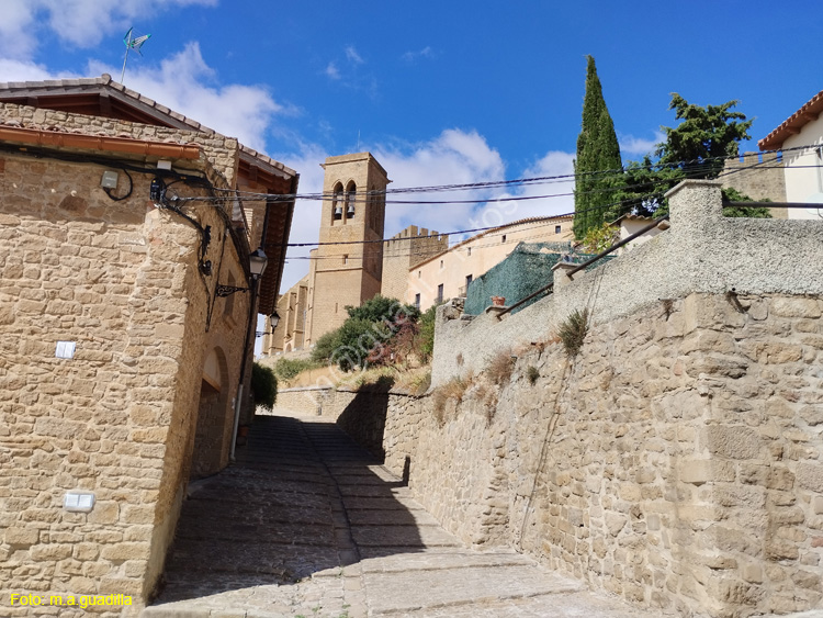 ARTAJONA (142) Iglesia de San Saturnino