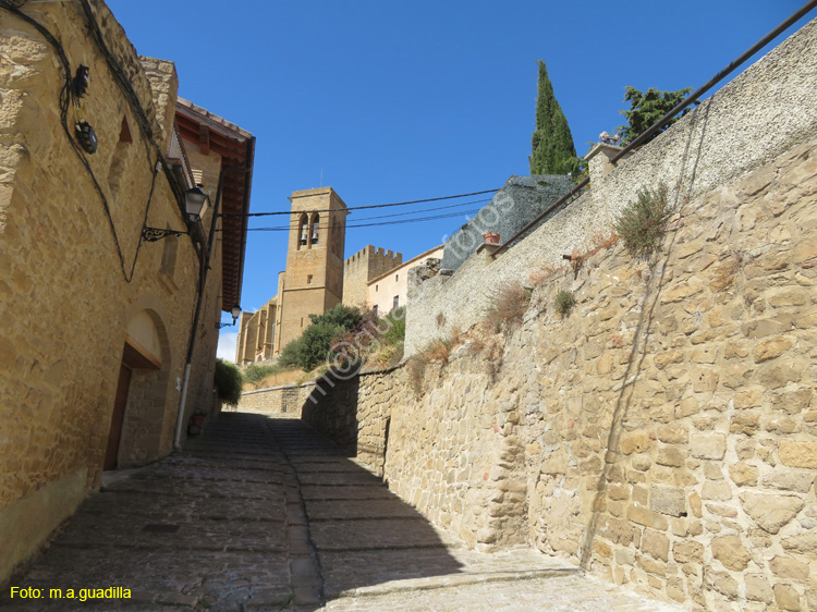 ARTAJONA (152) Iglesia de San Saturnino
