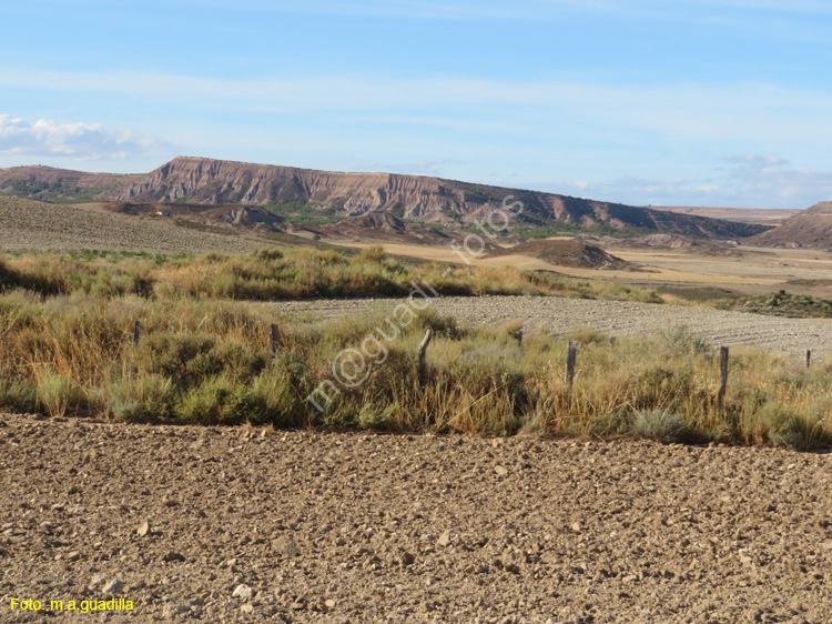 LAS BARDENAS REALES - Arguedas (101)