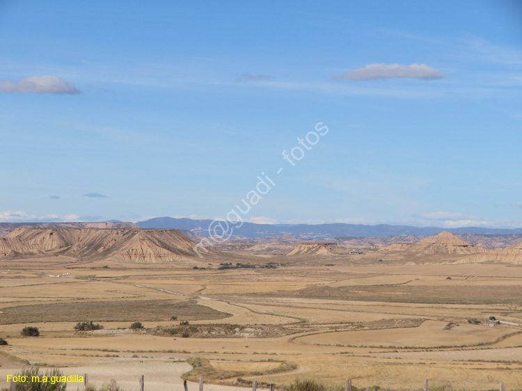 LAS BARDENAS REALES - Arguedas (103)