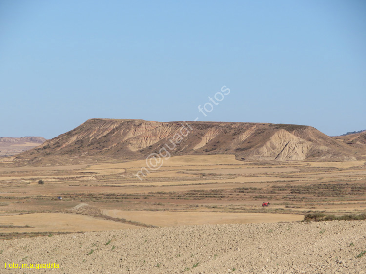 LAS BARDENAS REALES - Arguedas (104)
