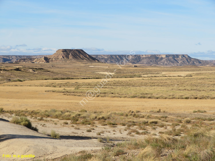 LAS BARDENAS REALES - Arguedas (108)