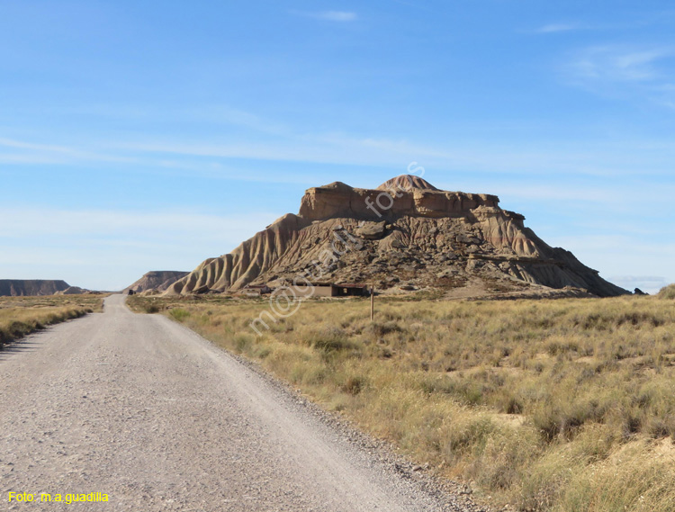 LAS BARDENAS REALES - Arguedas (110)