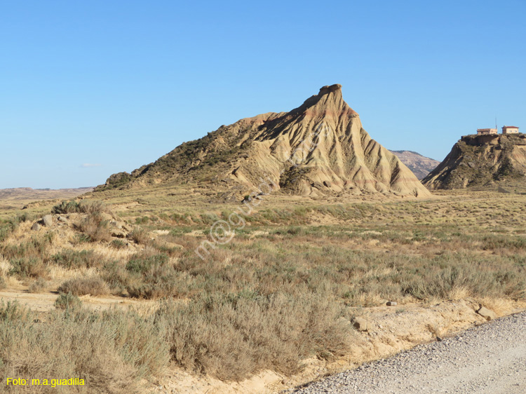 LAS BARDENAS REALES - Arguedas (111)