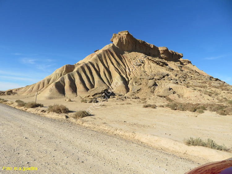 LAS BARDENAS REALES - Arguedas (112)